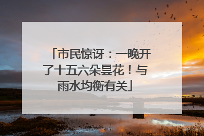 市民惊讶：一晚开了十五六朵昙花！与雨水均衡有关