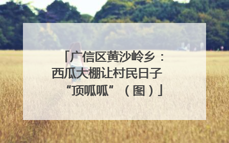 广信区黄沙岭乡：西瓜大棚让村民日子“顶呱呱”（图）