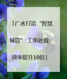 广水打造“智慧城管” 工单处置效率提升10倍