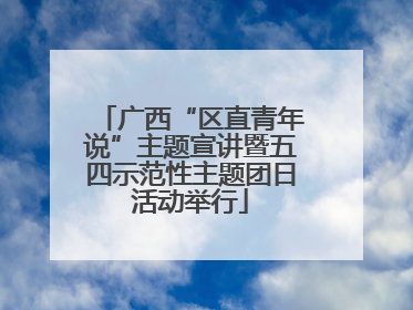 广西“区直青年说”主题宣讲暨五四示范性主题团日活动举行