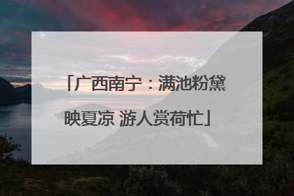 广西南宁：满池粉黛映夏凉 游人赏荷忙