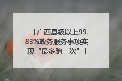 广西县级以上99.83%政务服务事项实现“最多跑一次”