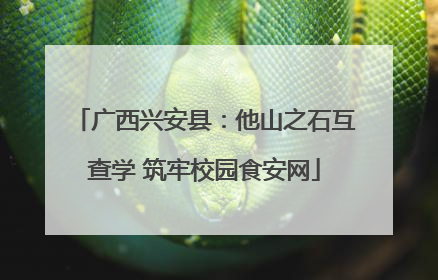 广西兴安县：他山之石互查学 筑牢校园食安网