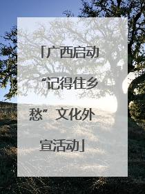 广西启动“记得住乡愁”文化外宣活动