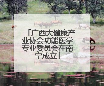 广西大健康产业协会功能医学专业委员会在南宁成立