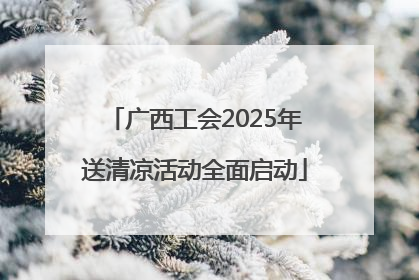 广西工会2025年送清凉活动全面启动