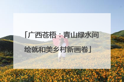 广西苍梧：青山绿水间绘就和美乡村新画卷