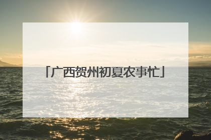 广西贺州初夏农事忙
