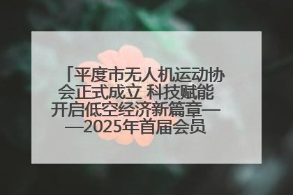 平度市无人机运动协会正式成立 科技赋能开启低空经济新篇章——2025年首届会员大会暨无人机应用发展论坛成功举办