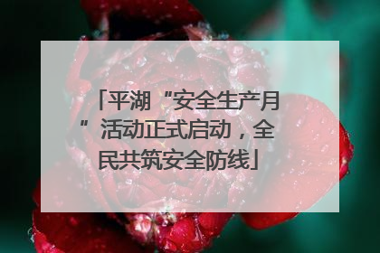 平湖“安全生产月”活动正式启动，全民共筑安全防线