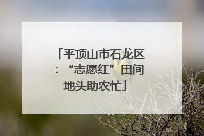 平顶山市石龙区：“志愿红”田间地头助农忙