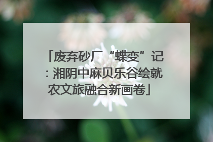 废弃砂厂“蝶变”记：湘阴中麻贝乐谷绘就农文旅融合新画卷