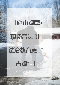 庭审观摩+现场普法 让法治教育更“直观”