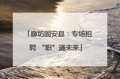 廊坊固安县：专场招聘 “职”通未来