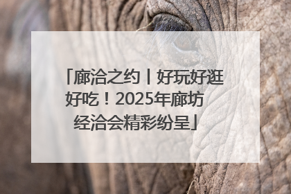 廊洽之约丨好玩好逛好吃！2025年廊坊经洽会精彩纷呈