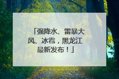 强降水、雷暴大风、冰雹，黑龙江最新发布！
