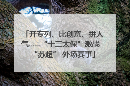 开专列、比创意、拼人气……“十三太保”激战“苏超” 外场赛事