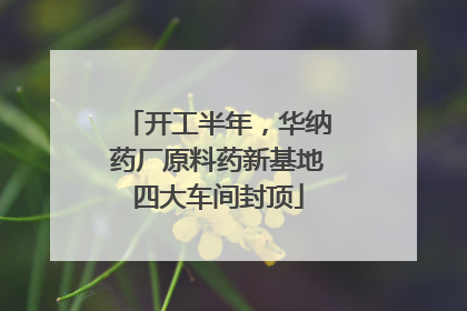 开工半年，华纳药厂原料药新基地四大车间封顶