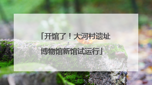 开馆了！大河村遗址博物馆新馆试运行