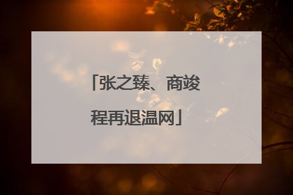 张之臻、商竣程再退温网