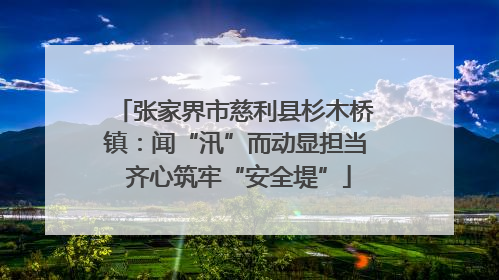 张家界市慈利县杉木桥镇：闻“汛”而动显担当 齐心筑牢“安全堤”