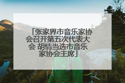 张家界市音乐家协会召开第五次代表大会 胡情当选市音乐家协会主席