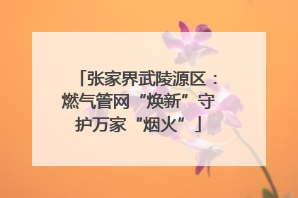张家界武陵源区：燃气管网“焕新”守护万家“烟火”