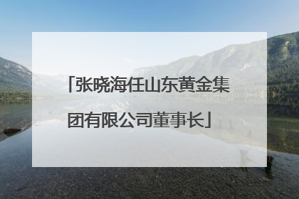 张晓海任山东黄金集团有限公司董事长