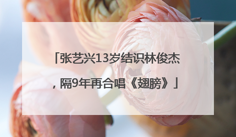 张艺兴13岁结识林俊杰，隔9年再合唱《翅膀》