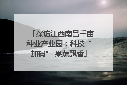 探访江西南昌千亩种业产业园：科技“加码” 果蔬飘香