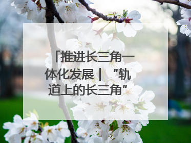 推进长三角一体化发展｜“轨道上的长三角”今年基本建成