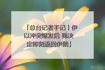 总台记者手记丨伊以冲突爆发后 我决定即刻返回伊朗
