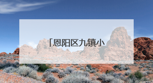 恩阳区九镇小学开展师德师风宣誓活动