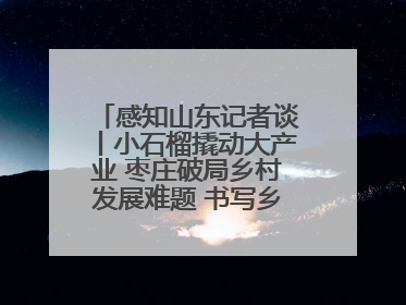 感知山东记者谈丨小石榴撬动大产业 枣庄破局乡村发展难题 书写乡村共富答卷