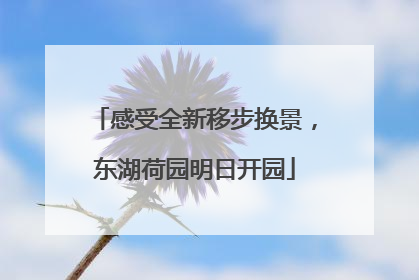 感受全新移步换景，东湖荷园明日开园