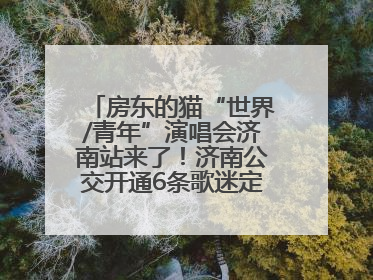 房东的猫“世界/青年”演唱会济南站来了！济南公交开通6条歌迷定制专线