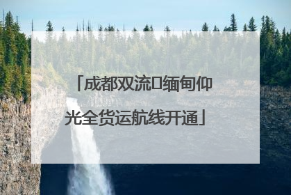 成都双流⇌缅甸仰光全货运航线开通