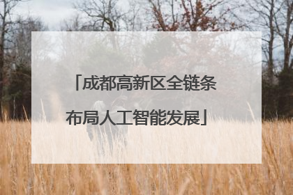 成都高新区全链条布局人工智能发展