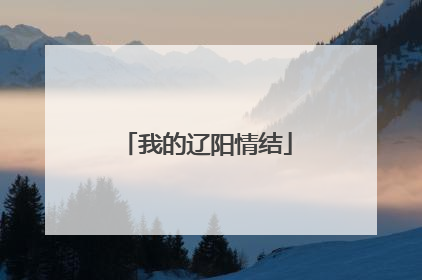我的辽阳情结