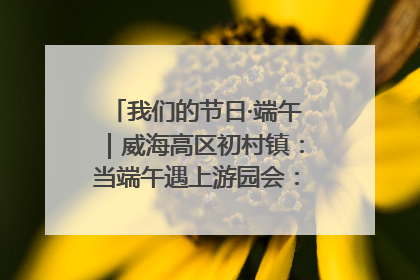 我们的节日·端午｜威海高区初村镇：当端午遇上游园会：来一场“粽”享欢乐的趣味冒险！