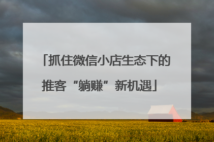 抓住微信小店生态下的推客“躺赚”新机遇