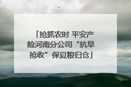 抢抓农时 平安产险河南分公司“抗旱抢收”保夏粮归仓