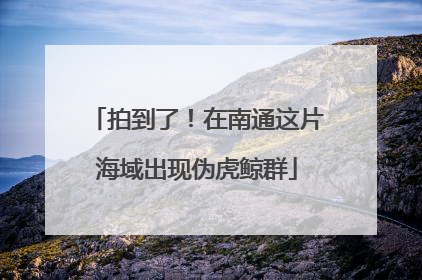 拍到了！在南通这片海域出现伪虎鲸群