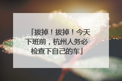拔掉！拔掉！今天下班前，杭州人务必检查下自己的车