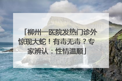 柳州一医院发热门诊外惊现大蛇！有毒无毒？专家辨认：性情温顺