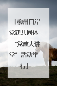 柳州口岸党建共同体“党建大讲堂”活动举行