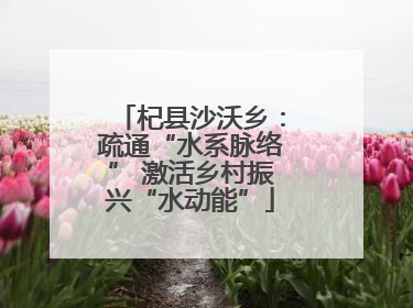 杞县沙沃乡：疏通“水系脉络” 激活乡村振兴“水动能”