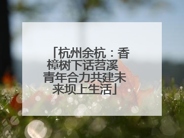 杭州余杭：香樟树下话苕溪 青年合力共建未来坝上生活