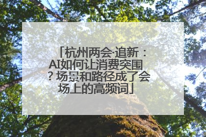 杭州两会·追新：AI如何让消费突围？场景和路径成了会场上的高频词