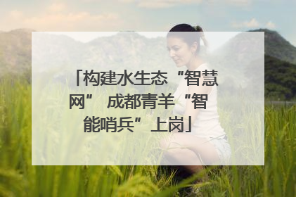 构建水生态“智慧网” 成都青羊“智能哨兵”上岗